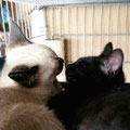 Helmi und Helena