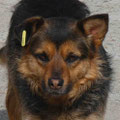 Rubi