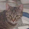 Mathilda