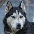 Anouk