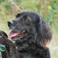 Tilly