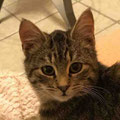 Lilli