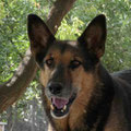 Lyka