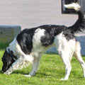 Cora von Benteler 248/13