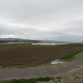 １０１０　坂元川右岸の農地