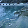 ００４２「岸壁が沈降したままの長崎漁港」