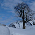 Winterlandschaft