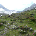 Im Wannsertal mit Blick zum Joch