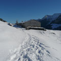 Die Prodel Alpe