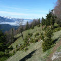 Blick auf Säntis und Hangspitze