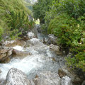 Wasserlauf am Weg