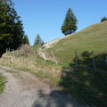 Der Beginn des Aufstiegsweges