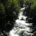 Am Soybach