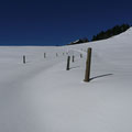 Markierung im Schnee