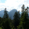 Blick zur Kanisfluh