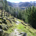 Unterwegs von der Alm Richtung Zwölferspitze