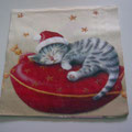 030-Weihnachten-Katze-Kissen