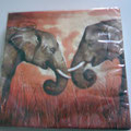 003-Afrika-Elefant