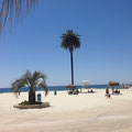 Moonlight Beach Encinitas