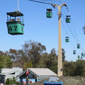 Die Seilbahn fährt über das ganze Gelände des Zoos. 