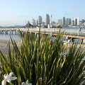 Coronado Bay mit Sicht auf die Skyline von San Diego