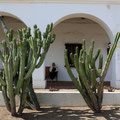 Mission San Luis Rey de Francia