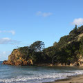 Waikawau Bay, Coromandel, North Island, New Zealand