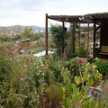 Jardin du président
