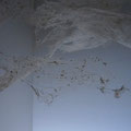 空(くう)への還り方 Return To Emptiness 6