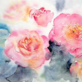 roses XX 2016 (22) / Watercolour 25x32cm CP  © janinaB. 2016