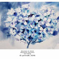 Blumen II 2016 (5)/ Aquarell 24x34m auf Vang © janinaB. 2016