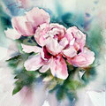 peonies II (T3) /  Watercolour 30x40cm Arches CP © janinaB. 2016