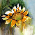 Sunflower I (O1) /Watercolour 17x24cm Lukas