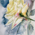 rose IX 2016 (O1) / Watercolour 20x30cm on Fabriano CP © janinaB. 2016