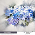 hydrangea I (T3) / Watercolour 34x40cm Arches CP © janinaB. 2016