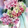 hydrangea IX (10) / Watercolour 30x20cm  on Fabriano CP © janinaB. 2016