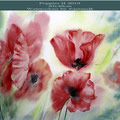 Poppies II 2019 (26) / 30x40cm Watercolour by ©janinaB