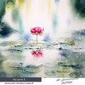 lily pond I (9) / Watercolour 30x34cm Arches CP © janinaB. 2016 