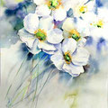 Anemones III (15) / Watercolour 30x40cm on Arches CP  © janinaB. 2016