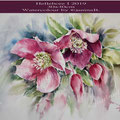 Hellebore I 2019 (28) / 30x40cm Watercolour by ©janinaB.