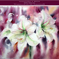 Amaryllis I 2019 (21) / 30x40cm Watercolour by ©janinaB