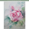 Rose IV 2019 (26) / 24x32cm Watercolour by ©janinaB