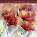 Poppies III 2019 (32) / 30x40cm Watercolour by ©janinaB