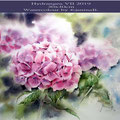 Hydrangea VII 2019 / 30x40cm Watercolour by ©janinaB.