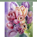 Tulips II 2019 (26) / 30x40cm Watercolour by ©janinaB.