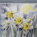 Daffodils II 2019 (26) / 30x40cm Watercolour by ©janinaB