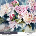 peonies VI / Watercolour 30x40cm on Arches CP © janinaB. 2016