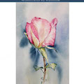 Rose VIII 2019 (O3) / 20x30cm Watercolour by ©janinaB