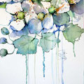 Anemones IV (O1) / Watercolour 20x30cm on Fabriano CP  © janinaB. 2016