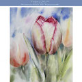 Tulip I 2019 (26) / 28x33cm Watercolour by ©janinaB